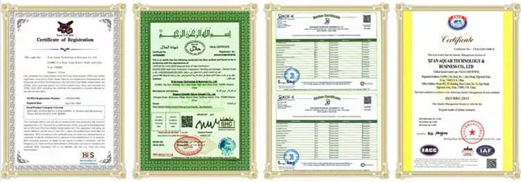 product-750-262 Certificate