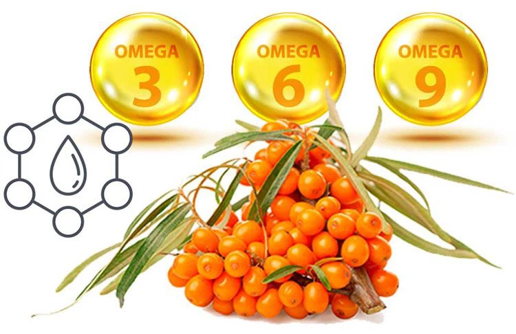 Sea Buckthorn Omega