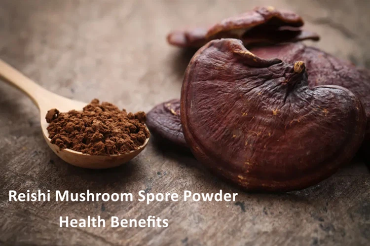 product-750-499 Health Benefits of Reishi Mushroom Spore Powder