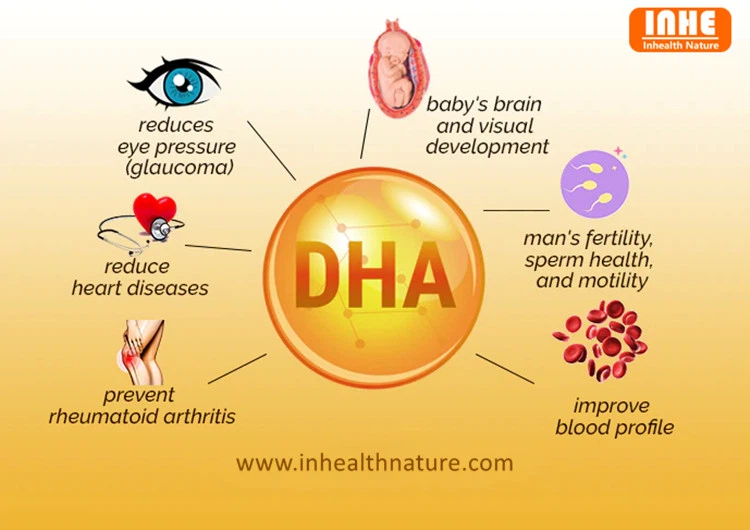 Why is DHA Essential to Human Body? Blog Shaanxi Inhealth Nature