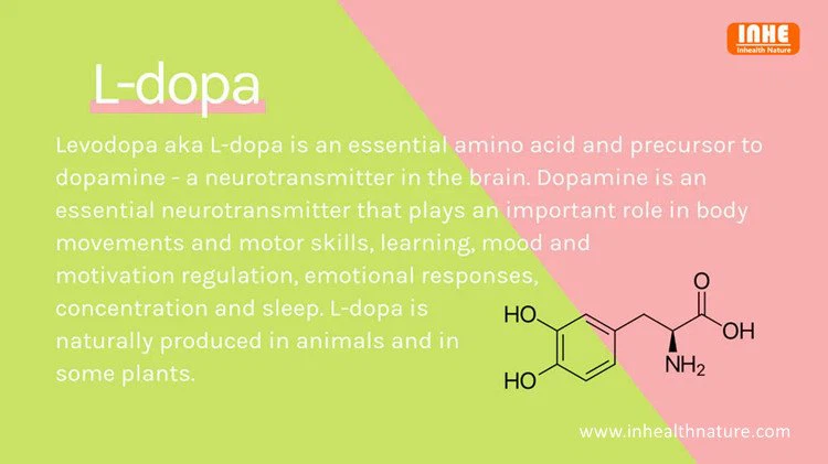 Levodopa benefits