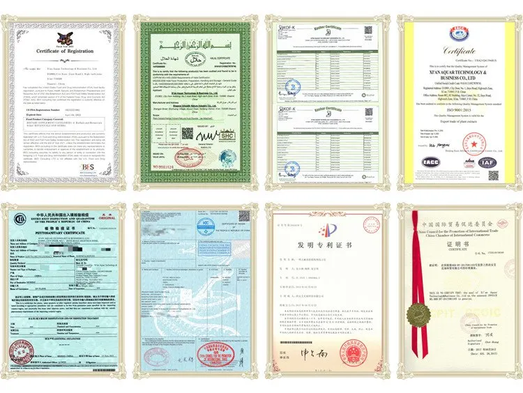 Our Certificates