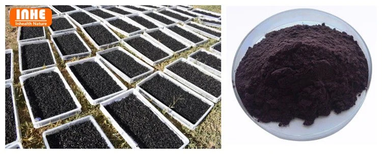 Black Goji and Black Goji Berry Powder