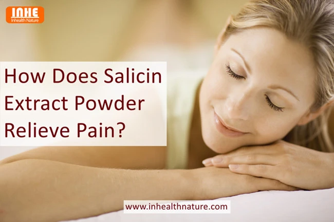 How Does Salicin Extract Powder Relieve Pain How Does Salicin Extract Powder Relieve Pain