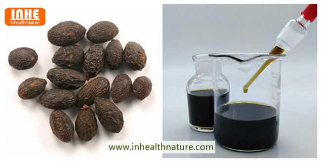 Serenoa Repens and Wholesale Saw Palmetto Oil