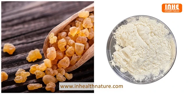 Frankincense and Boswellia Extract Powder Frankincense and Boswellia Extract Powder