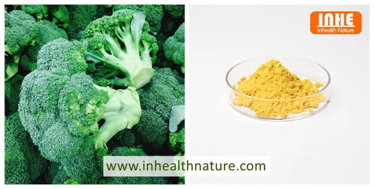 product-750-379 Broccoli and Sulforaphane Powder