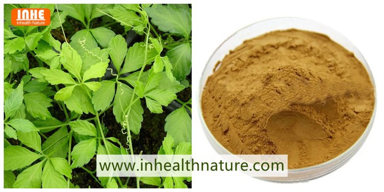 Gynostemma and its Extract Powder