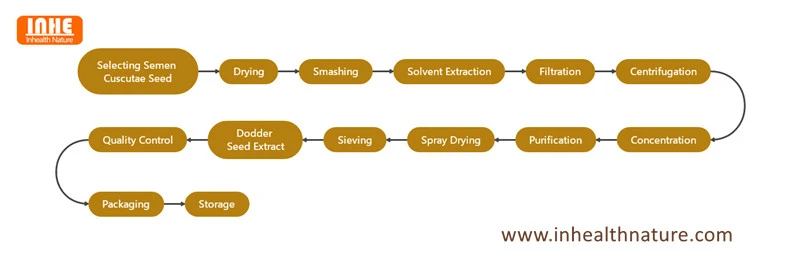 Dodder Seed Extract Flow Chart Dodder Seed Extract Flow Chart