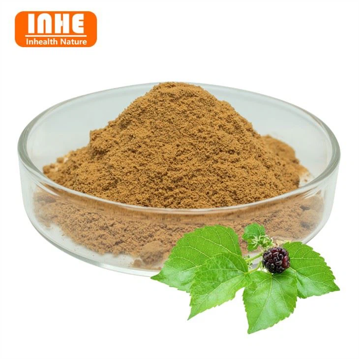 Mulberry Leaf Extract Powder