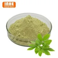 Jiaogulan Extract Powder