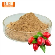 Rosehip Extract 50% Vitamin C Powder