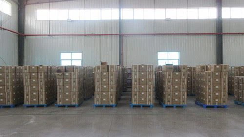 6-Our Warehouse.JPG