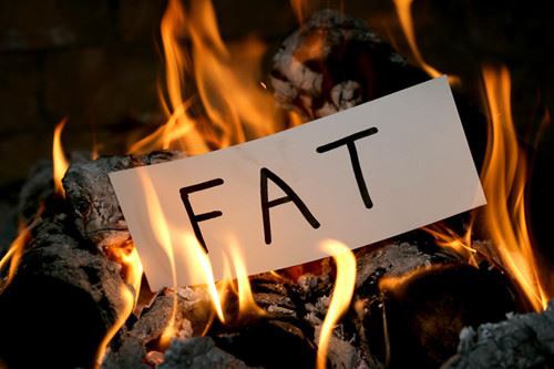How Does Forskolin Increase Metabolic Rate and Reduce Fat Accumulation?