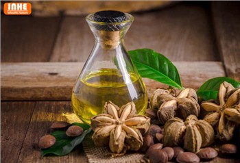 Which is Better? Sacha Inchi Oil or Fish Oil?