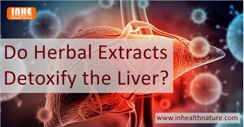 Do Herbal Extracts Detoxify The Liver?