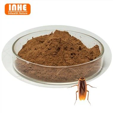 Periplaneta Americana Extract