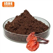 Reishi Extract Powder
