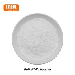 What are the Applications of NMN Powder in Dietary Supplements?