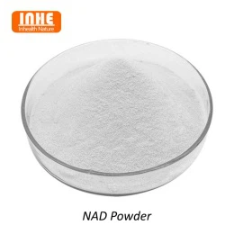 Why is Liposomal Technology Suitable for NAD Powder?