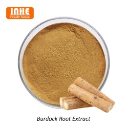 What are the Core Active Ingredients of Burdock Extract?
