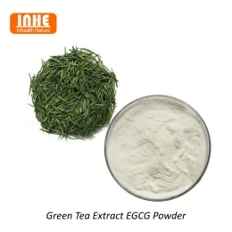 Green Tea Extract v.s. Matcha Extract