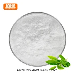 Inhealth Nature's Comprehensive Guidelines on EGCG Powder for B2B Buyers