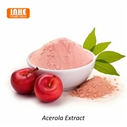 Comprehensive Selection Guide for B2B Buyers of Acerola Cherry Extract