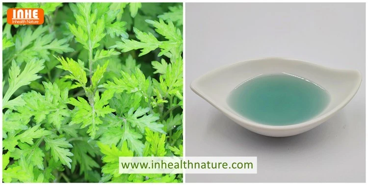 Wormwood Leaf and Wormwood Essential Oil
