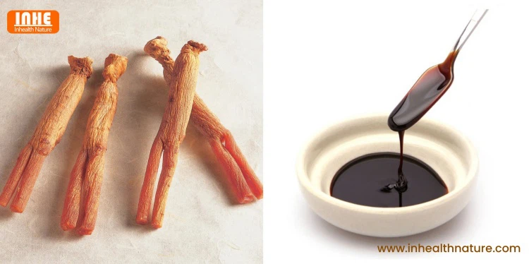 Red Ginseng Root and Red Ginseng Extract Liquid