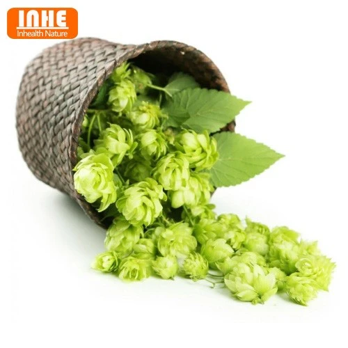 Hops-logo Hops-logo