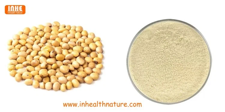 Soybeans and Phosphatidylserine Powder