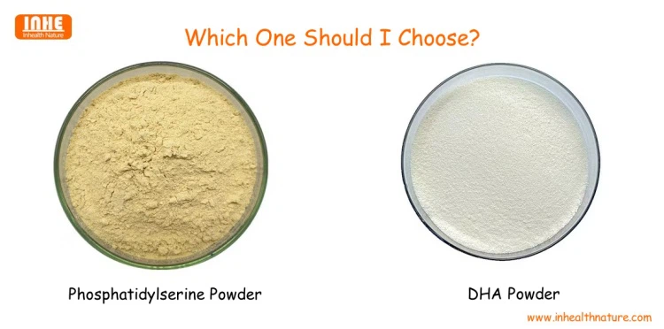 Phosphatidylserine PS Powder and DHA Powder