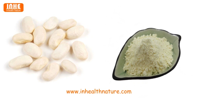 White Kidney Beans and White Kidney Bean Extract