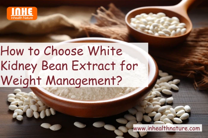 How to Choose White Kidney Bean Extract for Weight Management
