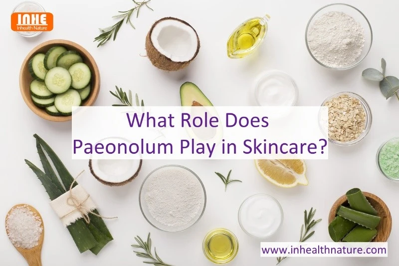 What Role Does Paeonolum Play in Skincare What Role Does Paeonolum Play in Skincare