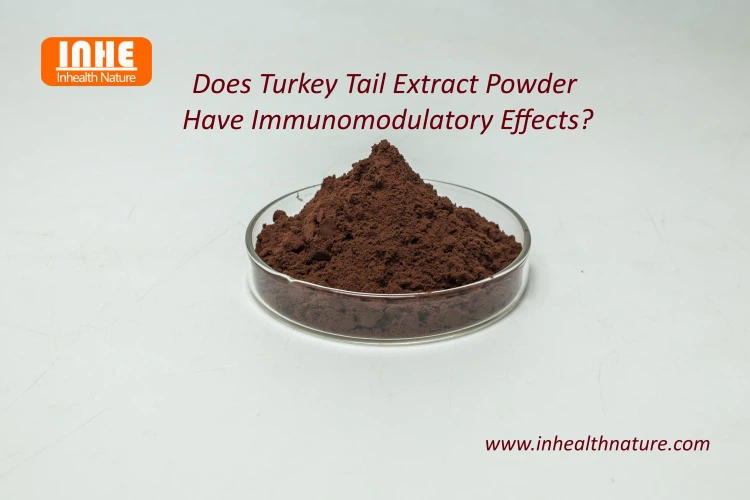 Does Turkey Tail Extract Powder Have Immunomodulatory Effects