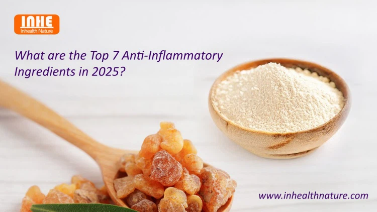 What are the Top 7 Anti-inflammatory Ingredients in 2025 What are the Top 7 Anti-inflammatory Ingredients in 2025