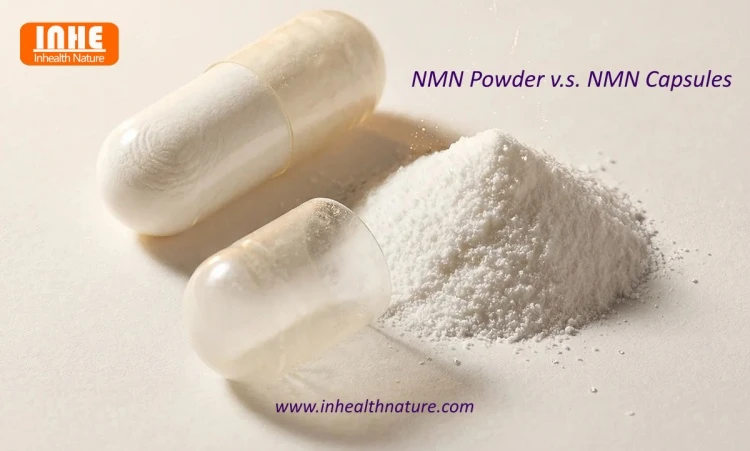 NMN Powder vs NMN Capsules NMN Powder vs NMN Capsules