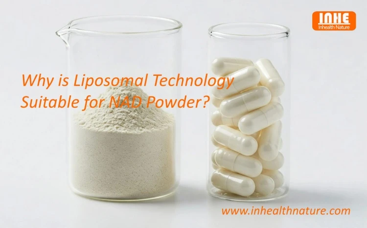 Why is Liposomal Technology Suitable for NAD Powder Why is Liposomal Technology Suitable for NAD Powder