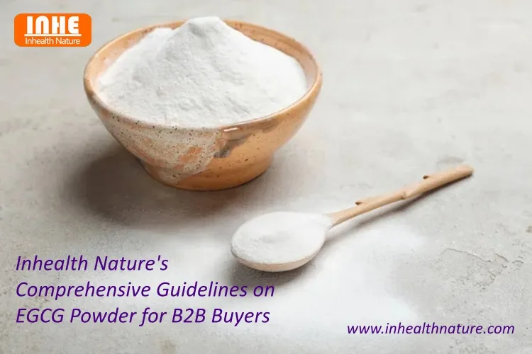Inhealth Natures Comprehensive Guidelines on EGCG Powder for B2B Buyers Inhealth Natures Comprehensive Guidelines on EGCG Powder for B2B Buyers