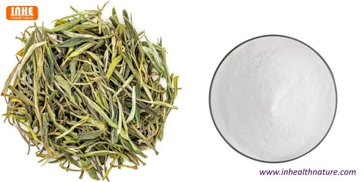 Green Tea and EGCG Powder Green Tea and EGCG Powder