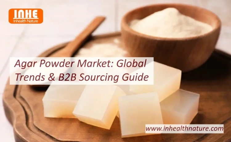 Agar Powder Market Global Trends B2B Sourcing Guide Agar Powder Market Global Trends B2B Sourcing Guide