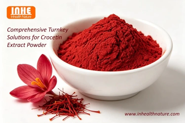 Comprehensive Turnkey Solutions for Crocetin Extract Powder