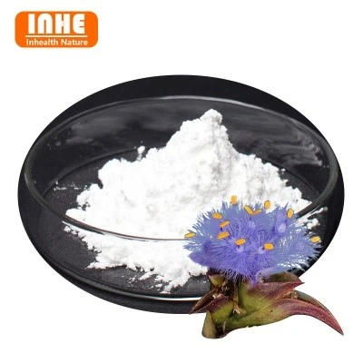 47-Beta-Ecdysterone Powder 47-Beta-Ecdysterone Powder