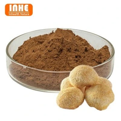 54-Hericium Erinaceus Powder 54-Hericium Erinaceus Powder