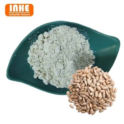 67-Sunflower Seed Protein Powder 67-Sunflower Seed Protein Powder