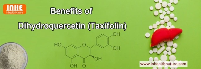 Amzaing Health Benefits of Taxifolin Powder Amzaing Health Benefits of Taxifolin Powder