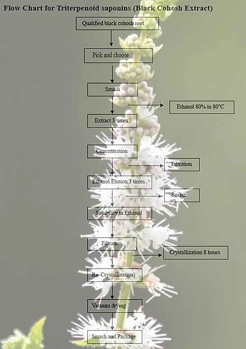 Flow Chart of Black Cohosh Extract Flow Chart of Black Cohosh Extract