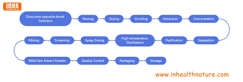 Wild Yam Extract Powder Flow Chart Wild Yam Extract Powder Flow Chart